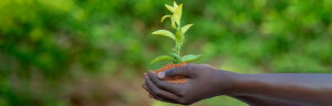 Agriculture in Tanzania