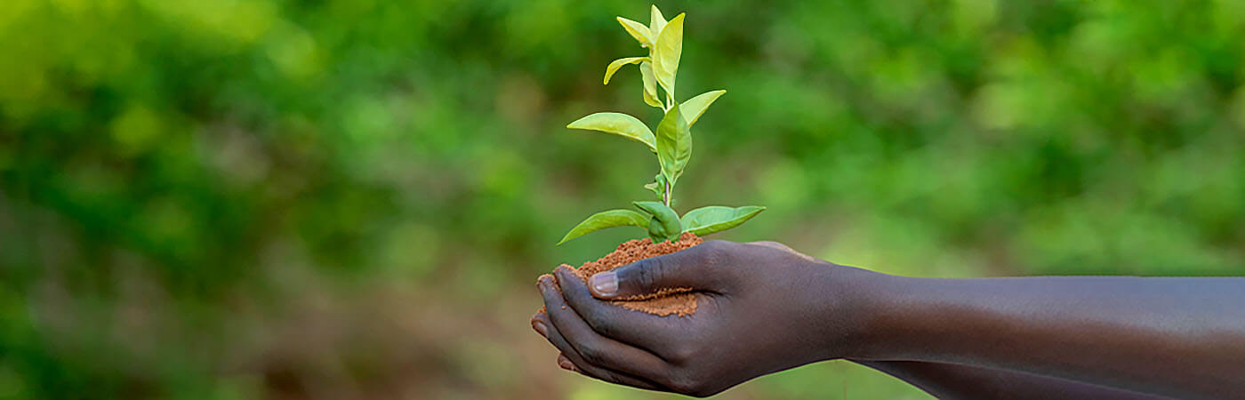 Agriculture in Tanzania