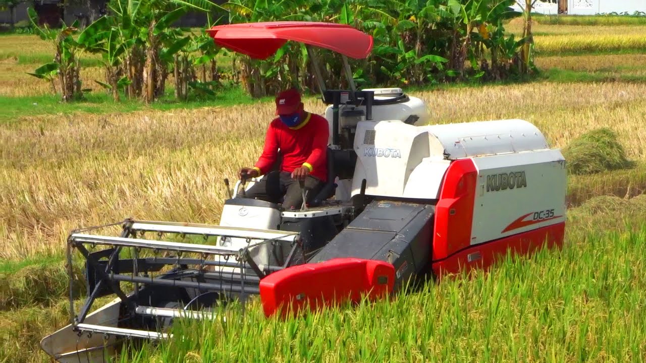Kubota Combine Harvesters in Tanzania
