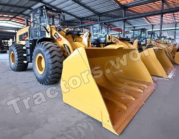 Massive 866 Wheel Loader In Tanzania